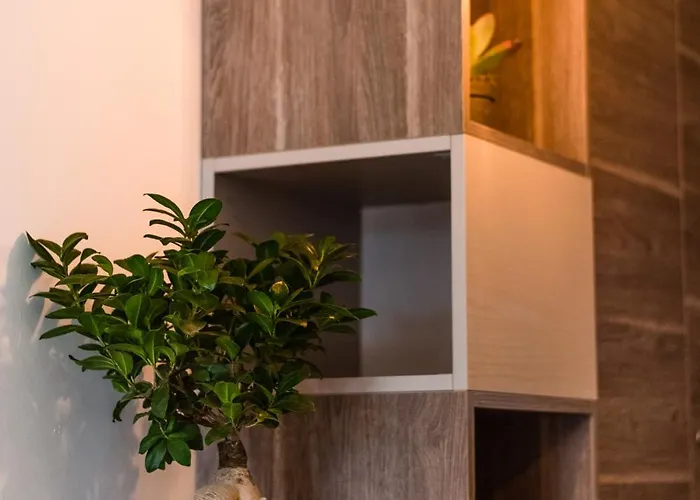 Blu Waters Boutique *